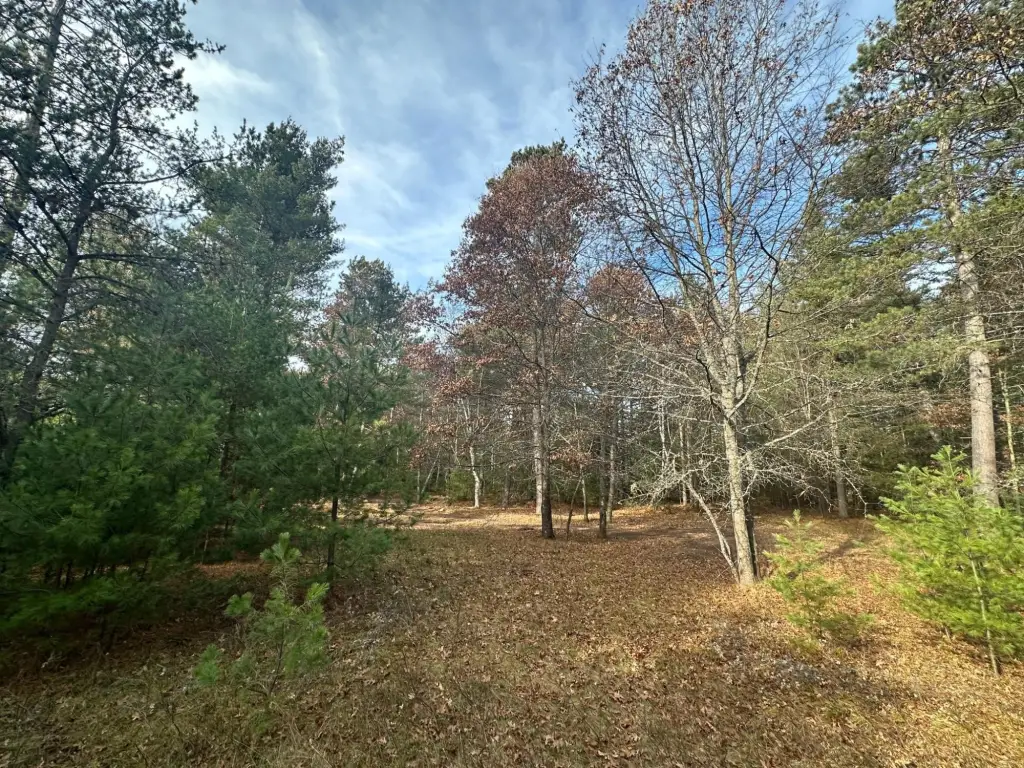 Picture 17