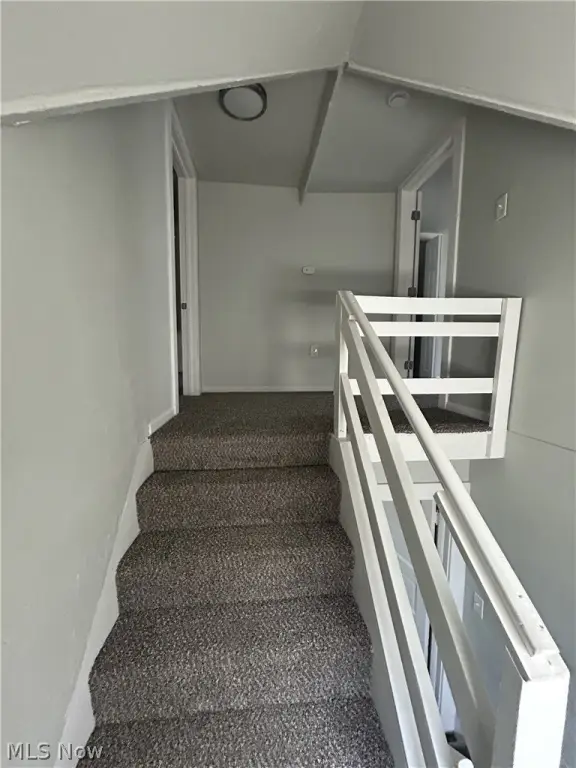 Picture 29
