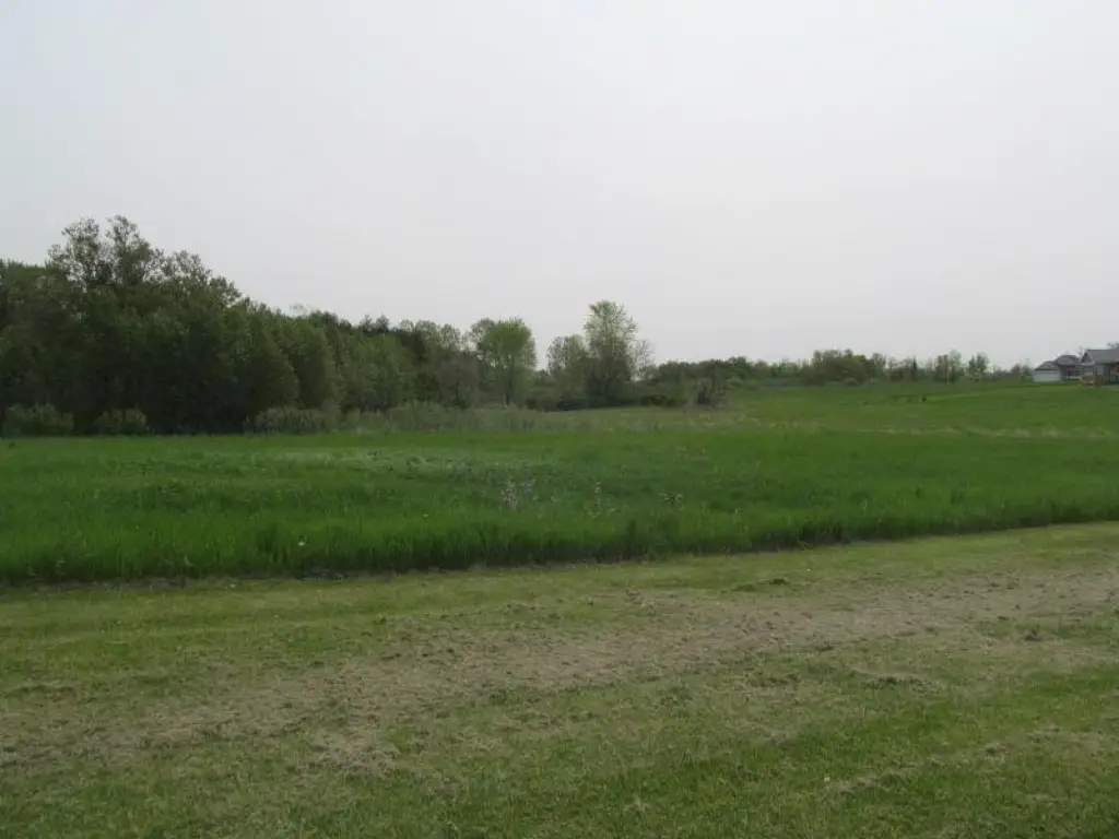 Picture 4