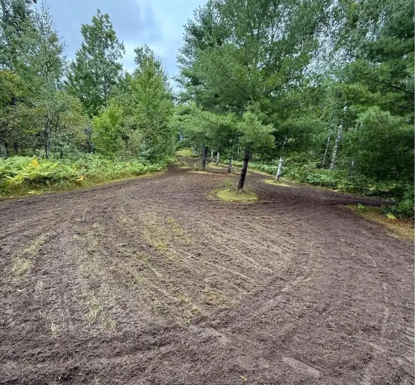 Picture 18