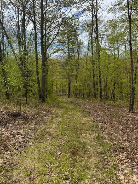Picture 21