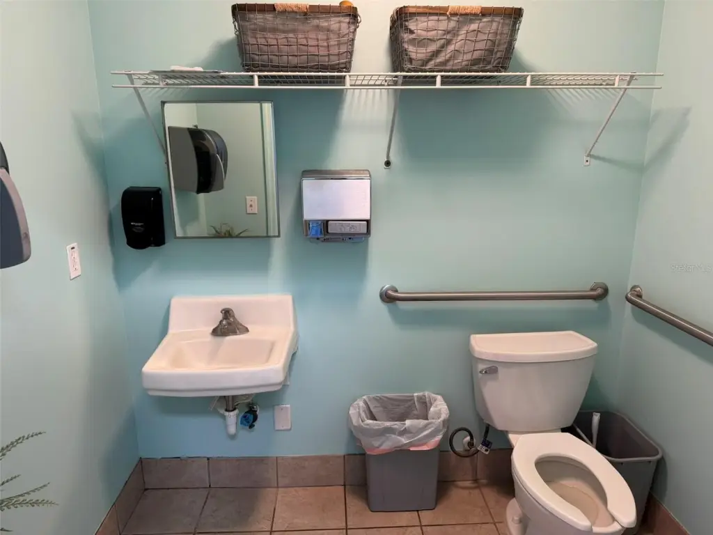 Picture 11