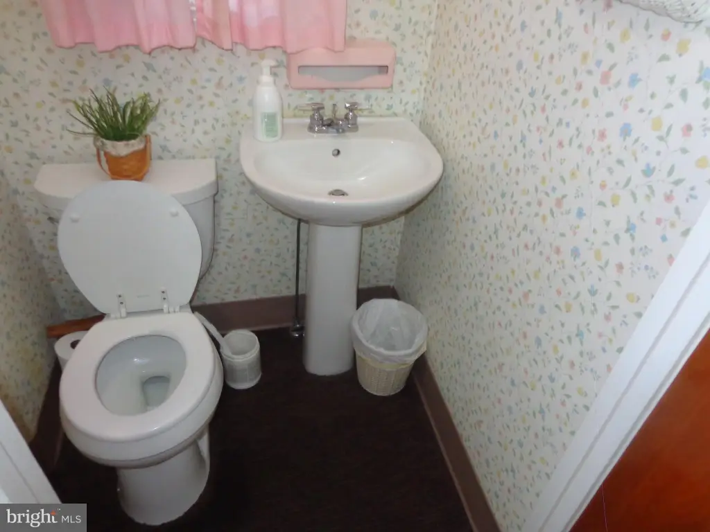 Picture 7