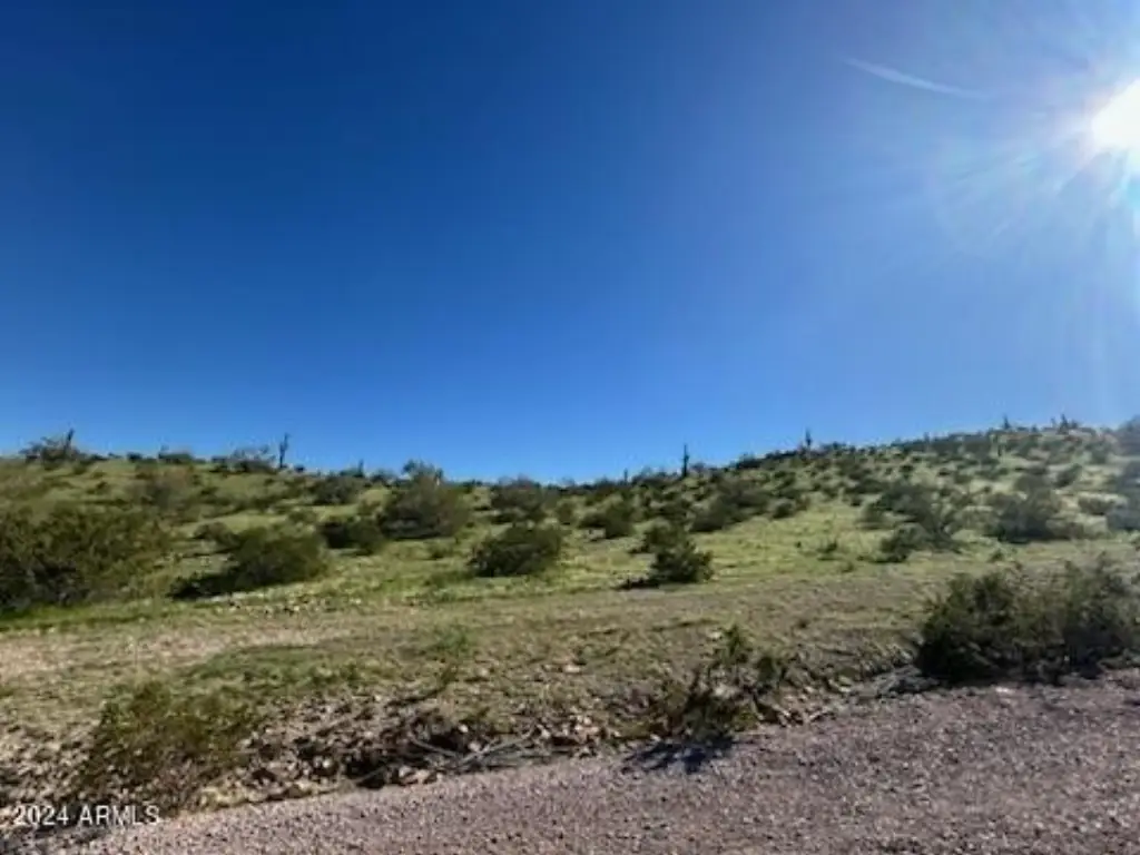 Picture 6