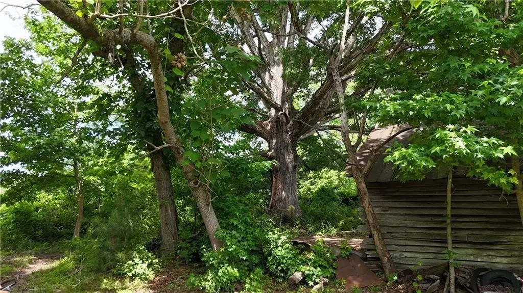 Picture 31