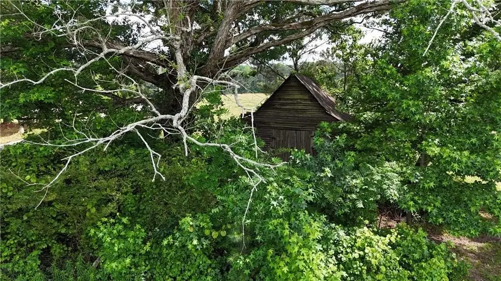 Picture 25