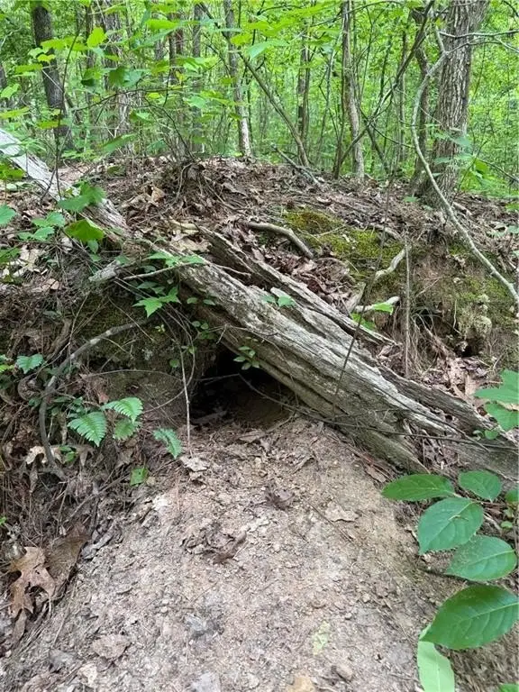 Picture 39