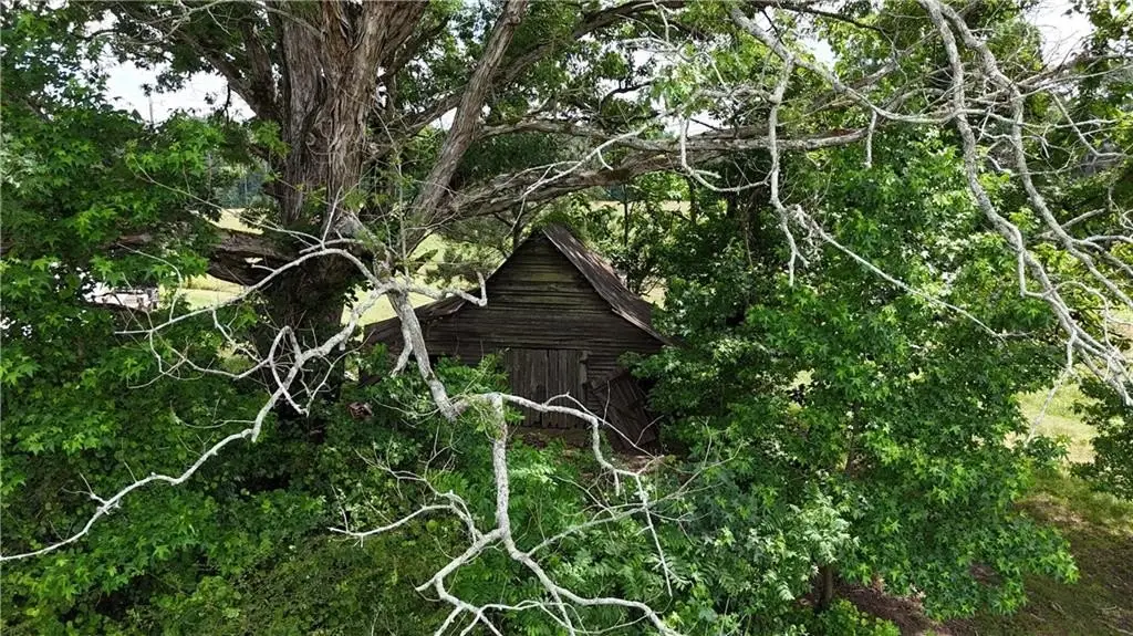 Picture 27