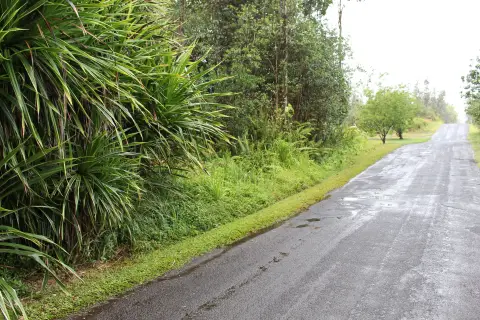 Vacant Lot in Keaau, HI
