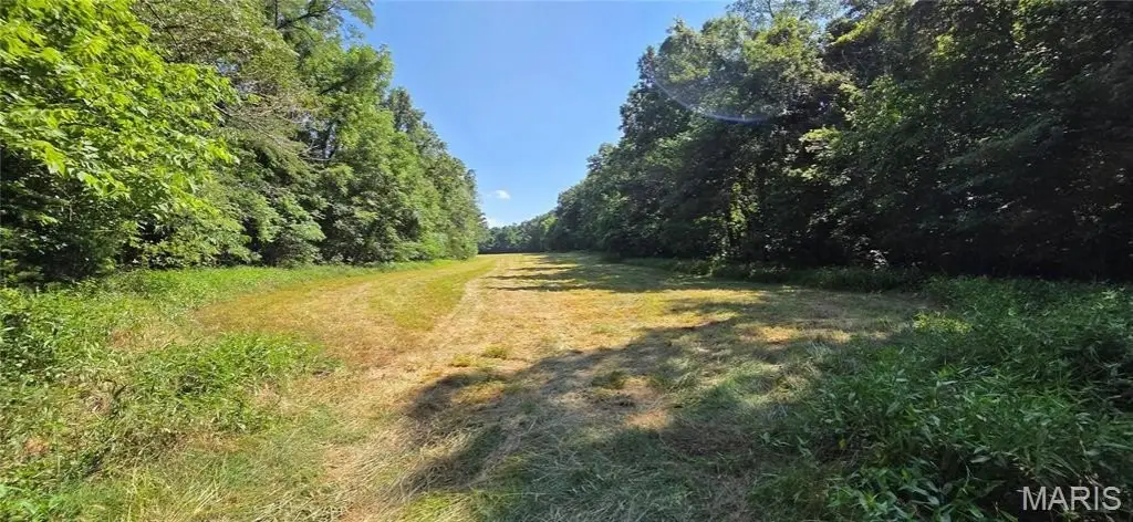 Picture 4