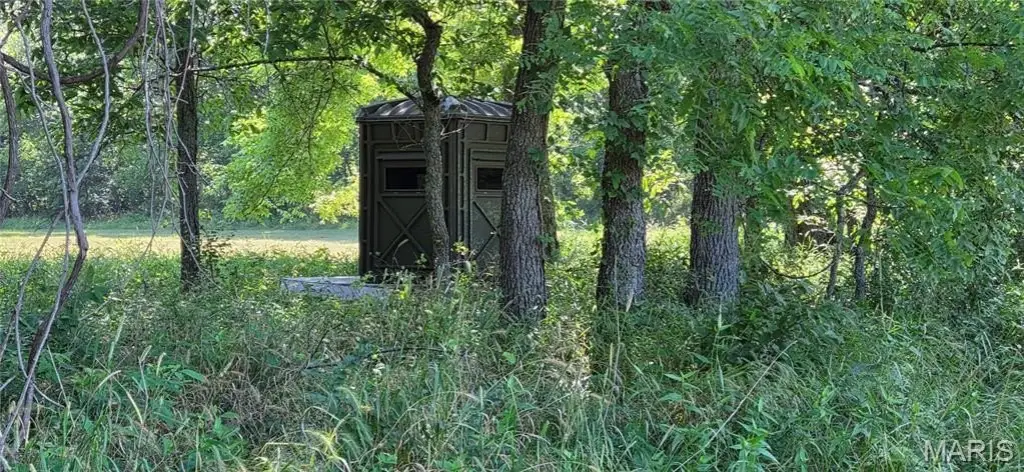Picture 7
