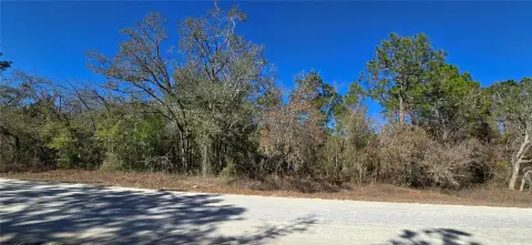 Residential Land in Weeki Wachee