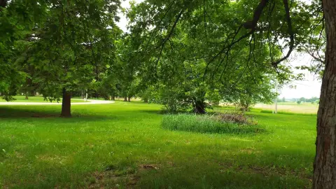 Residential Land in Ocheyedan, Iowa