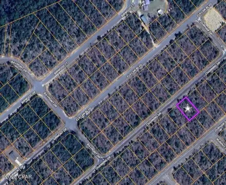 Vacant Lot in Sunny Hills