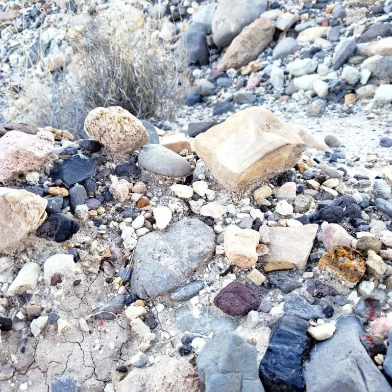 Picture 40