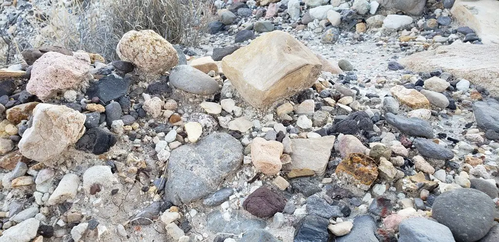 Picture 37