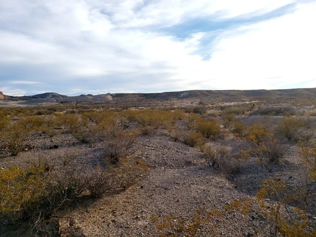 Picture 39