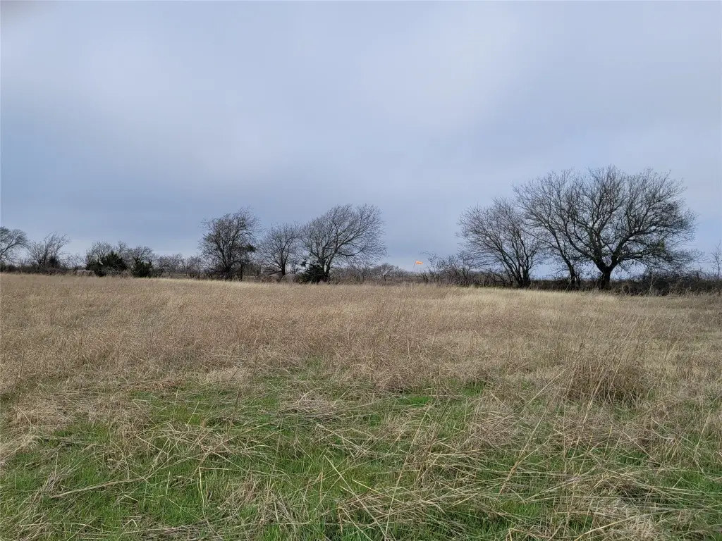Picture 12