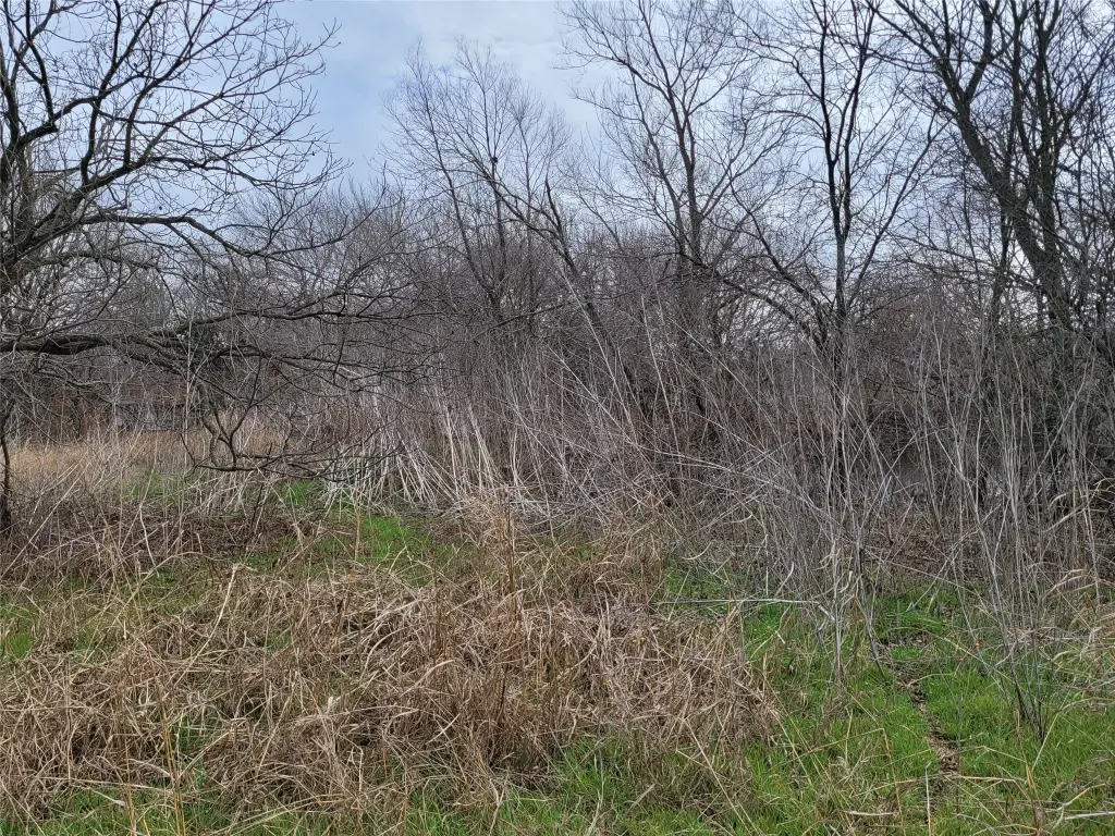 Picture 9