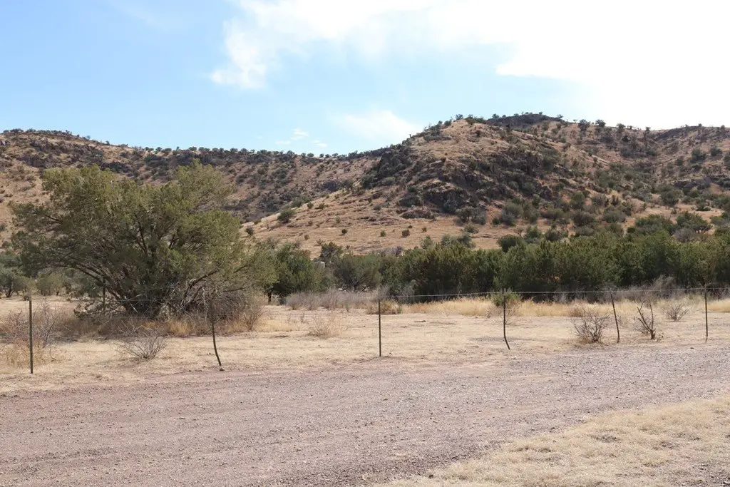 Picture 20