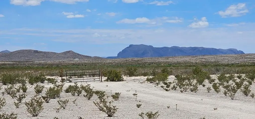 Picture 23