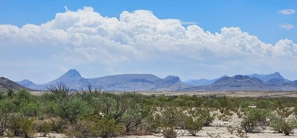 Picture 4