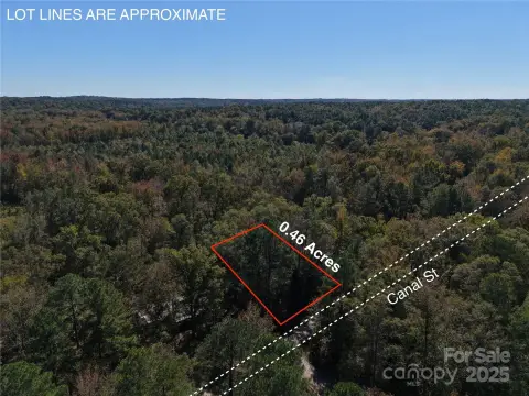 Wooded Lot Near Cape Fear