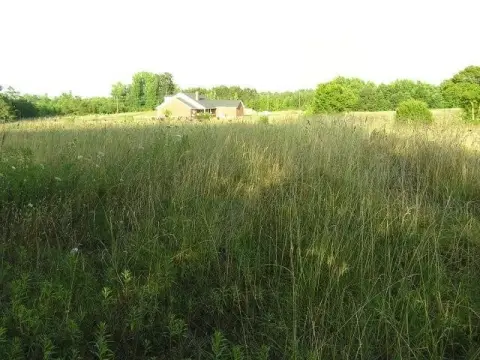 Residential Lot in Littleton, NC