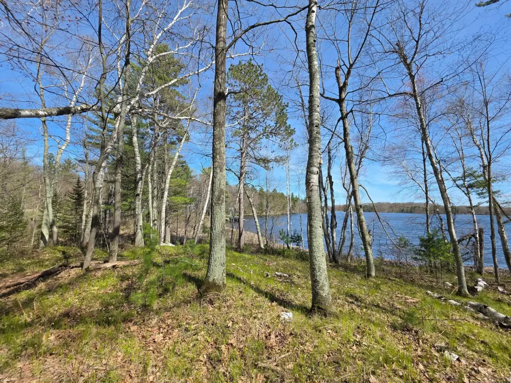 Picture 25