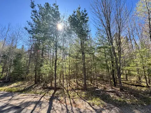 Wooded Lot in Eagle River