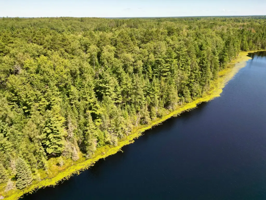 Picture 20