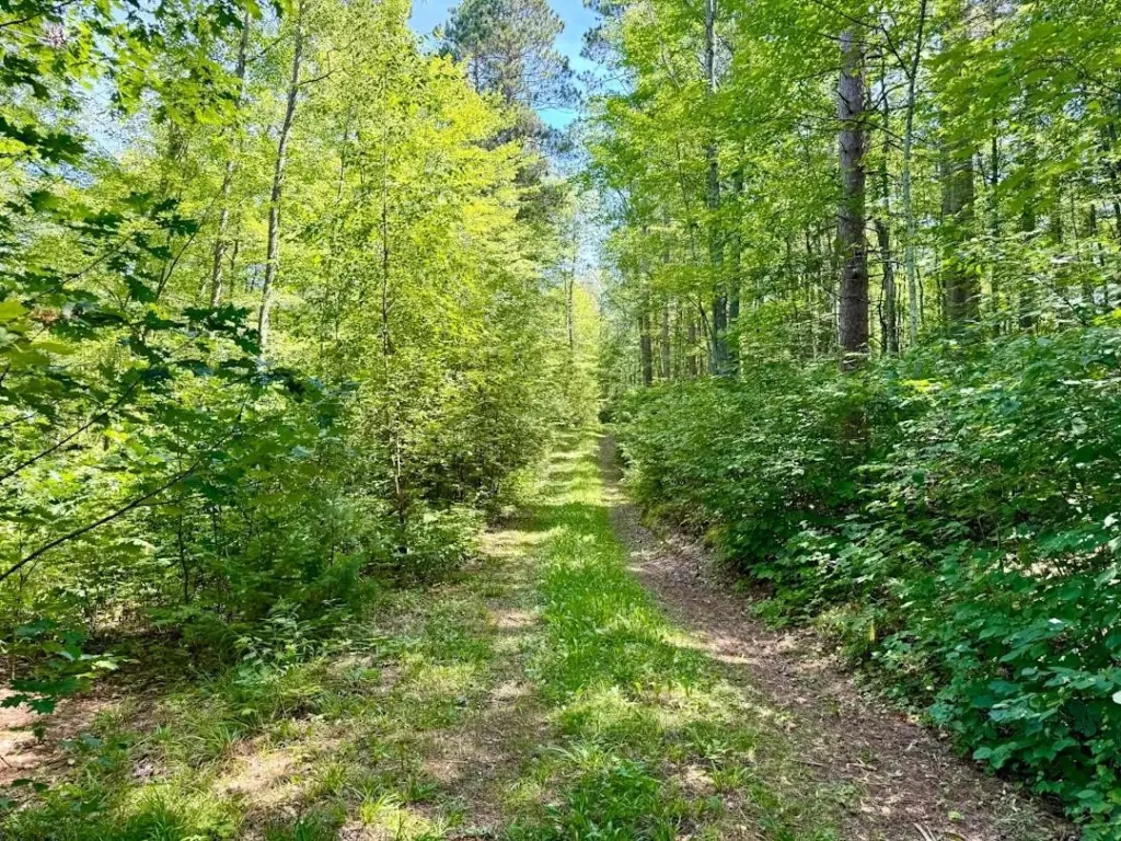 Picture 25