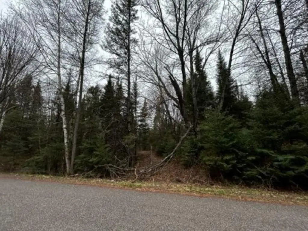 Picture 6