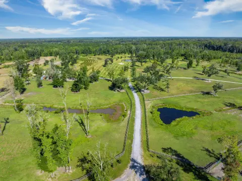 Versatile Ravenel Land with Development Potential
