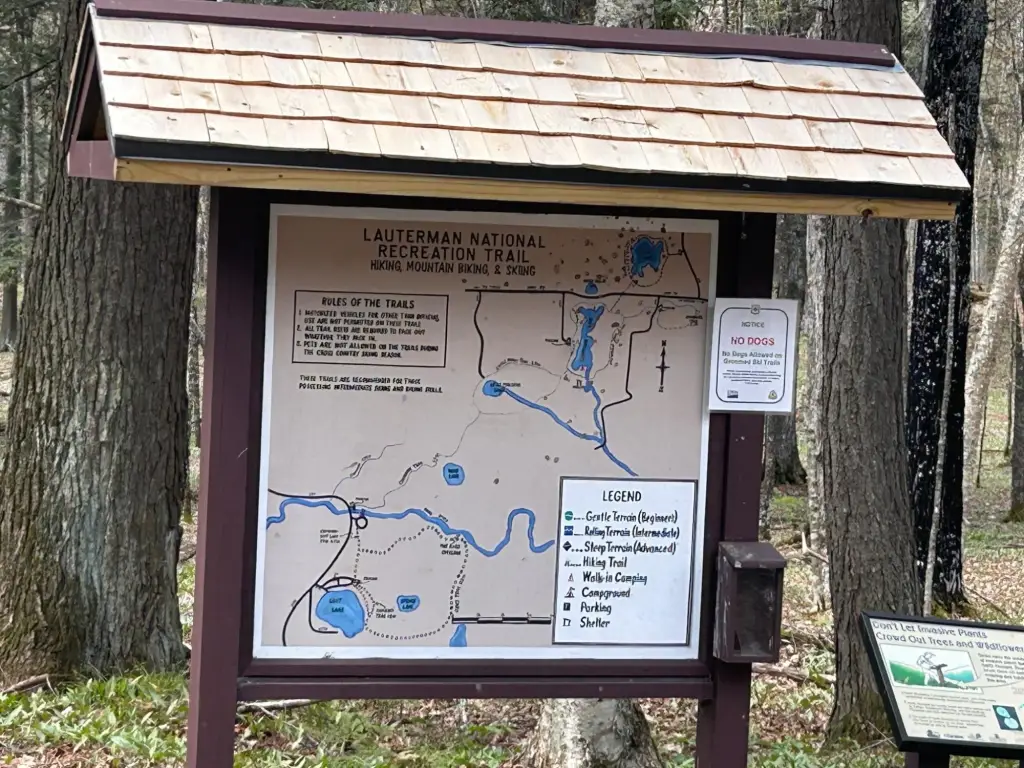 Picture 8