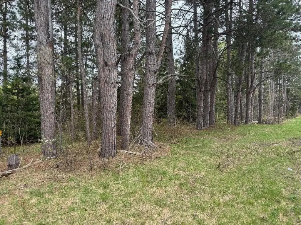 Picture 12