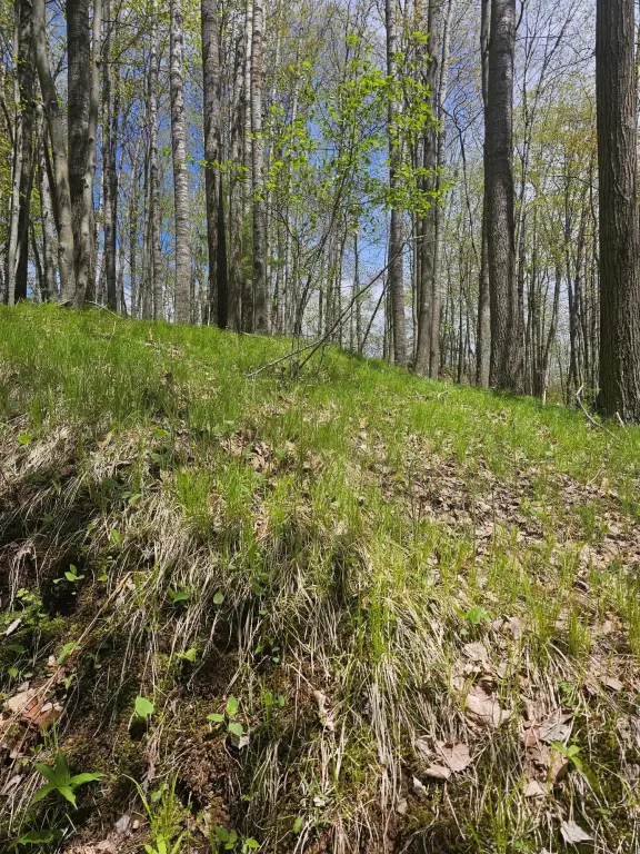 Picture 2