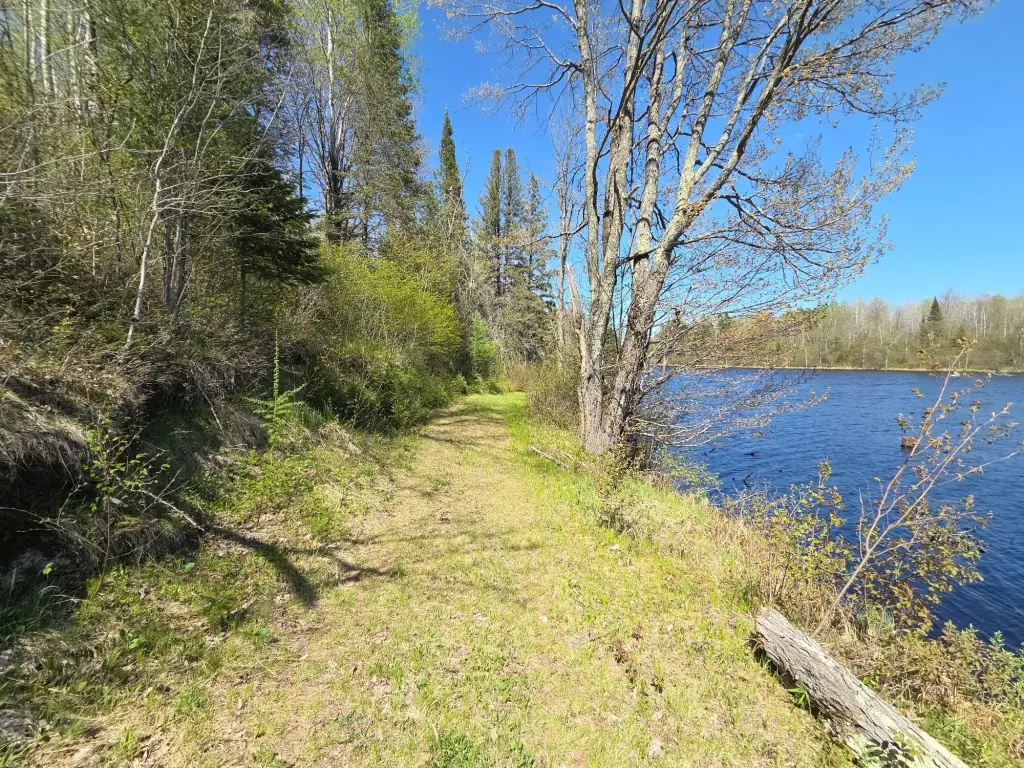 Picture 26