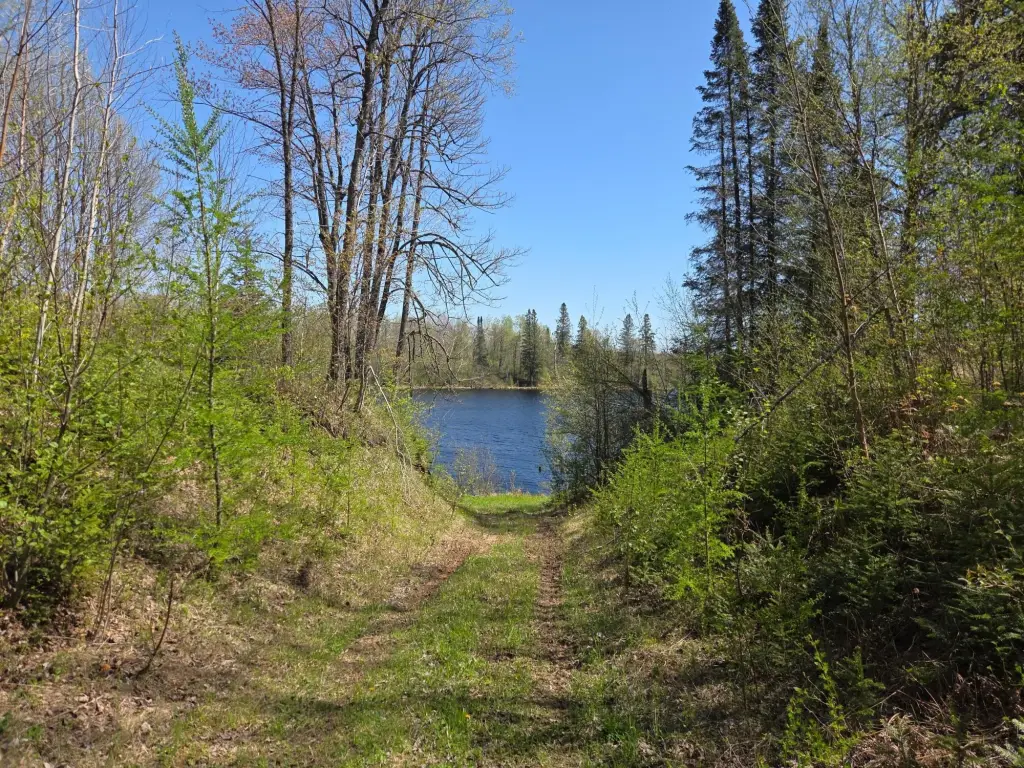 Picture 25