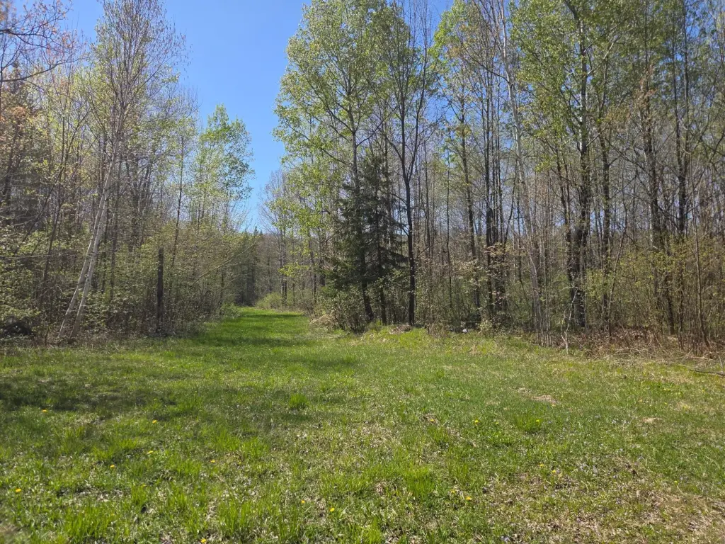 Picture 19