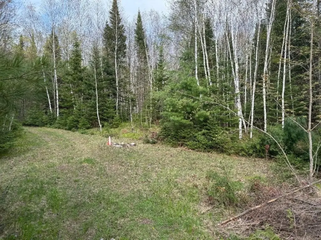 Picture 23