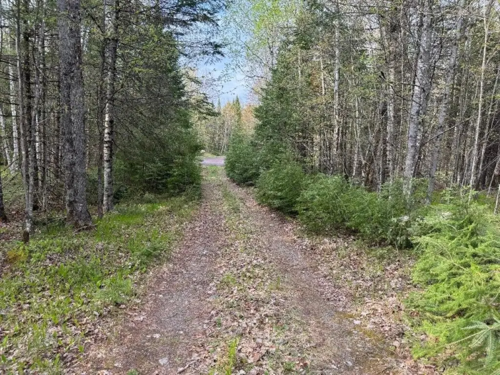 Picture 21