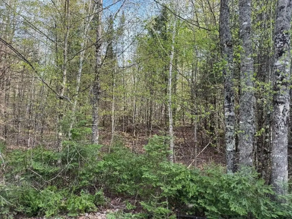 Picture 16