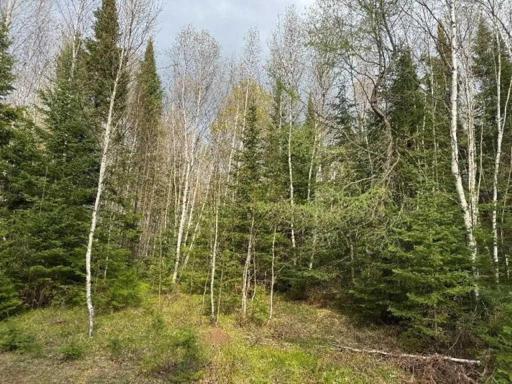 Picture 29