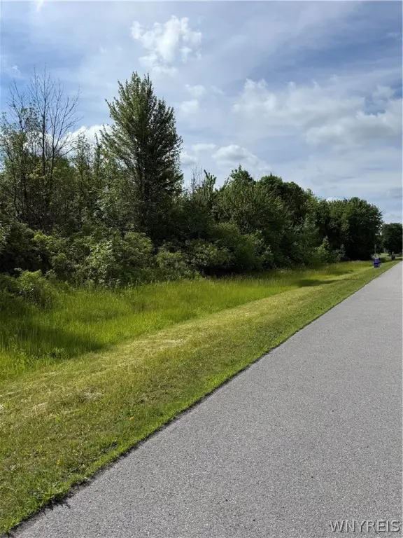 Picture 5