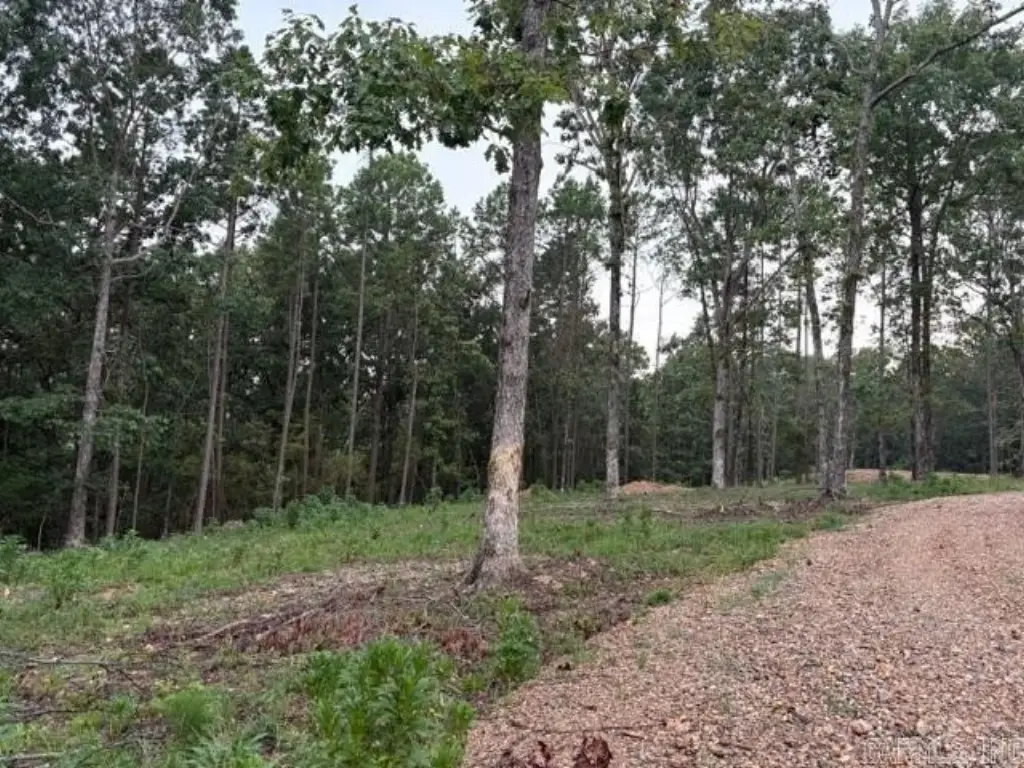 Picture 4