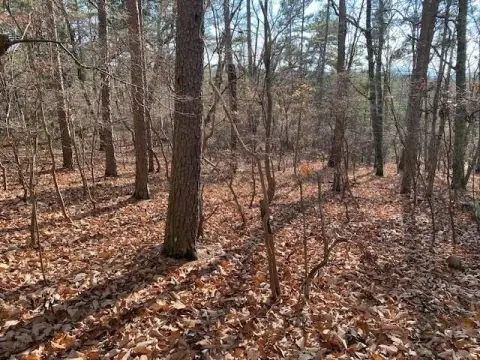 Jasper Land with Mountain Views