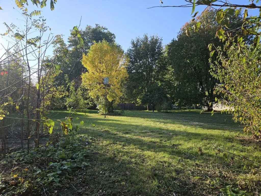 Picture 28
