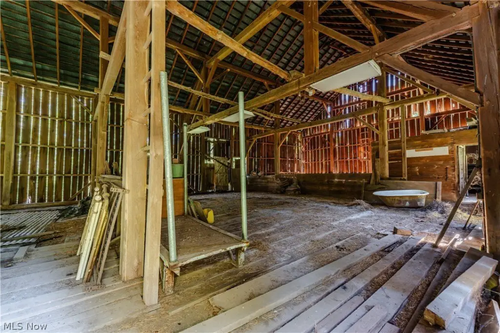 Picture 28