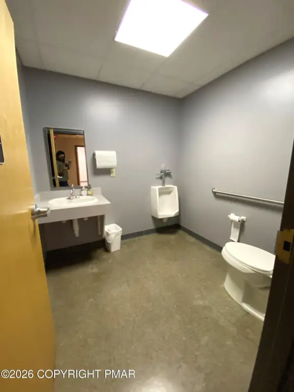 Picture 11